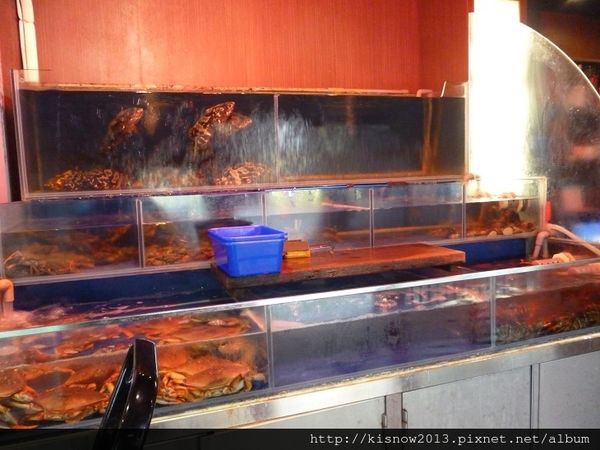 海之味9-水族箱.JPG