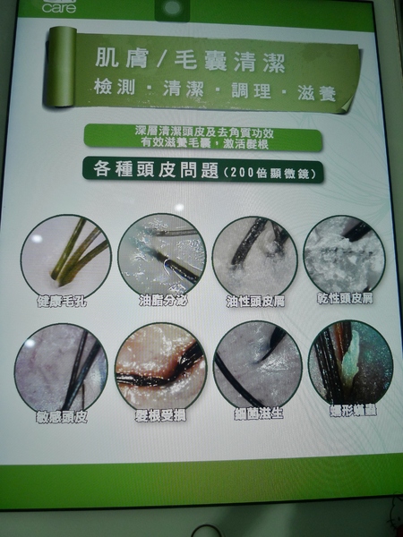 加慕秀髮藝HAIR SALON(安康店)(燙髮)：加慕秀髮藝JAIR SALON(安康店)