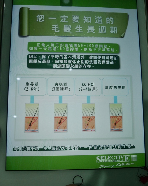 加慕秀髮藝HAIR SALON(安康店)(燙髮)：加慕秀髮藝JAIR SALON(安康店)