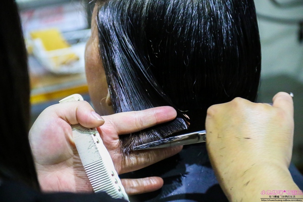 cm20170104___3b8b95eb0281a328fe4a5c9d054