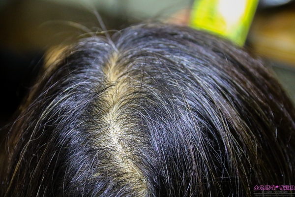 cm20170104___48866585d82a6cfabf8e57c637b