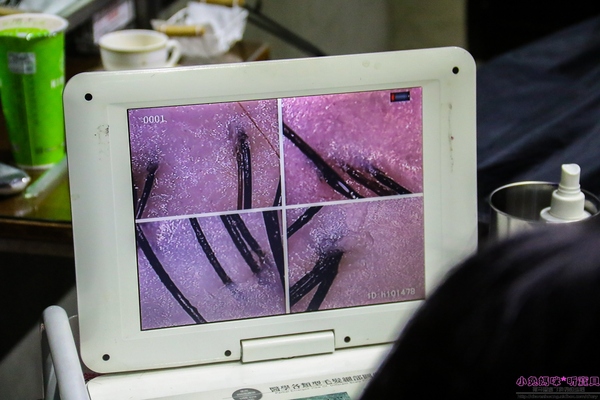 cm20170104___f55ac0ba318df3cf75f85c4224e