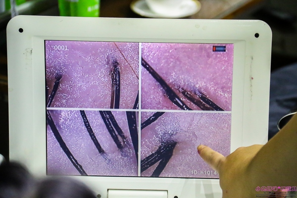 cm20170104___369a60b4f186e505378274d93f4