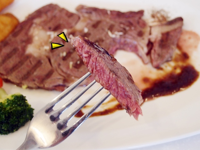 cats9-4.jpg - 日誌用相簿