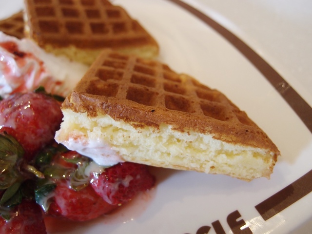 cats12-1.jpg - 日誌用相簿