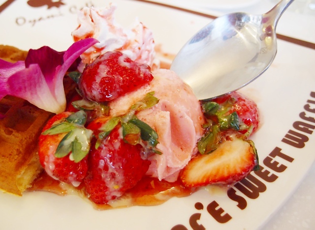 cats12-2.jpg - 日誌用相簿