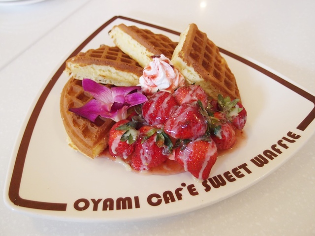 cats12.jpg - 日誌用相簿