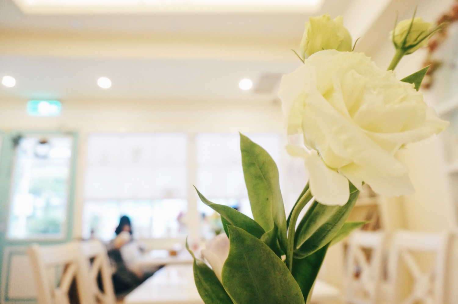 Processed with VSCO with e3 preset