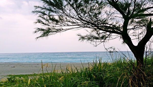 IMAG5066_mh1486793979368