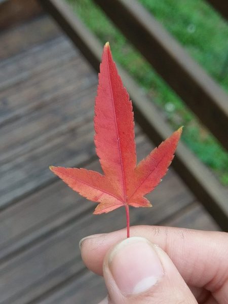 cm20170301___4596963db0d91f4ab62527cb11d