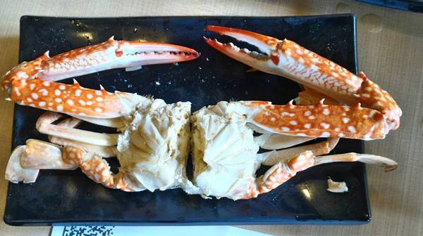 cm20170201___11351d5dcdcaca5695772f81930