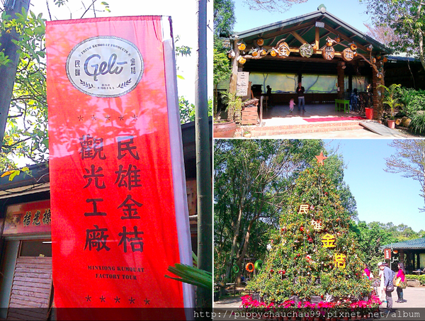 嘉義民雄金桔觀光工廠(2).png