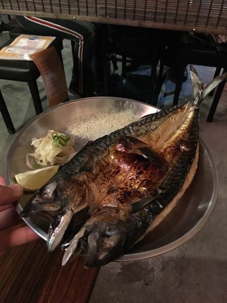 cm20170216___1b153eecd4c7990c33d2c81b1b7