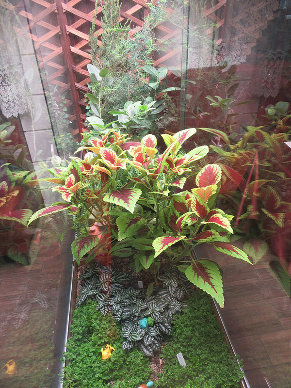 20170212_龜山bistro181 (98)