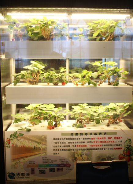 1060121-Bistro 181-46