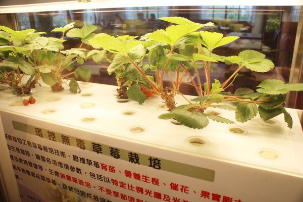 1060121-Bistro 181-09