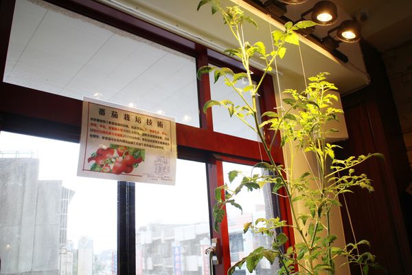 1060121-Bistro 181-10