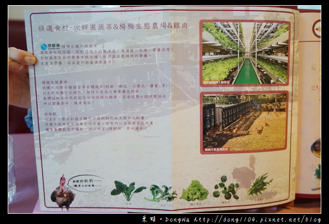 【桃園食記】桃園龜山法式料理|水耕蔬菜結合義大利麵的美味|Bistro 181法國餐廳