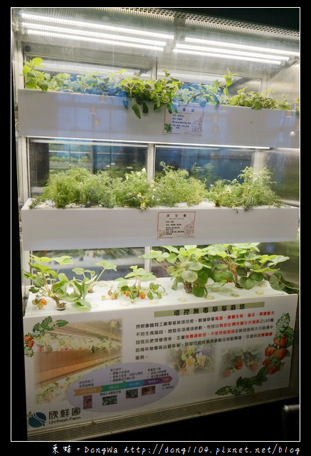 【桃園食記】桃園龜山法式料理|水耕蔬菜結合義大利麵的美味|Bistro 181法國餐廳