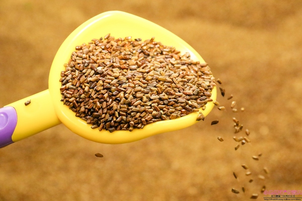 cm20170211___a1b5ed017592b65ca932bd5eb9b