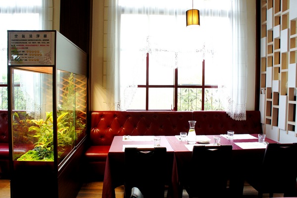 cm20170117___ed6cd074f011e31e680525046d1