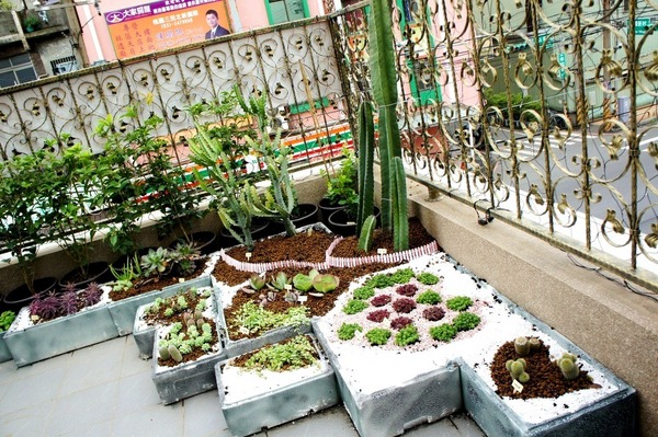 cm20170117___f0b4885c2a49703ef2a3161059a