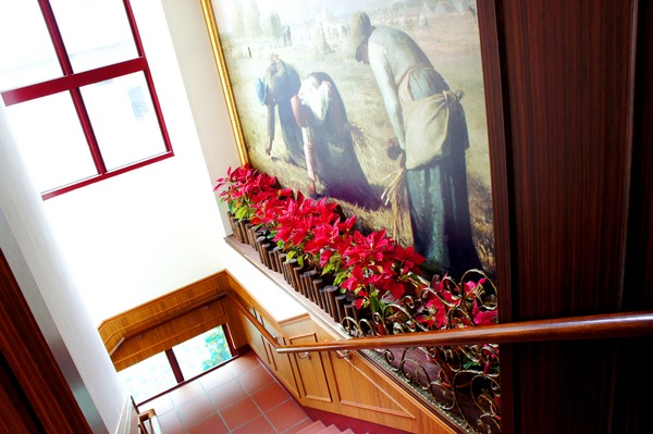 cm20170117___f9c2695c580aed75ca43e9c224d