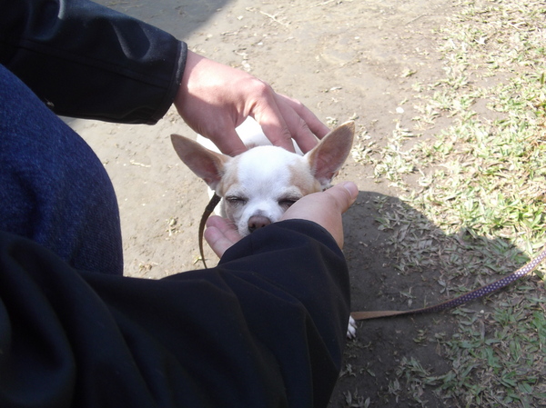 cm20170219___8dc8ffc3017c6dcf3ebcc64054d