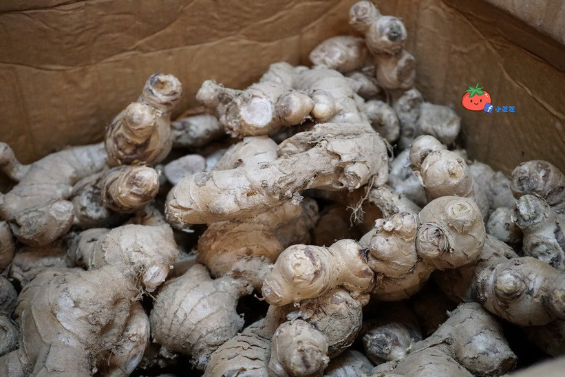 新店好吃紅豆湯 剉冰 秋園 七張捷運站