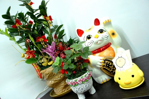 cm20170224___22dc9e2d0f87bbb3c9b257c46bb