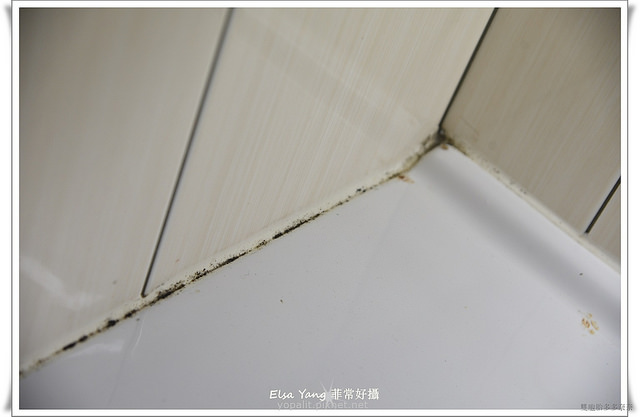 魔法職人專業居家打掃