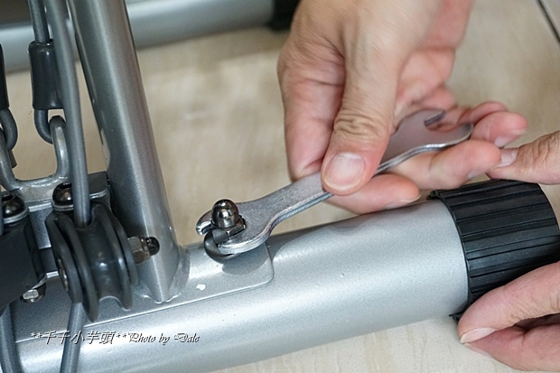 52293-1490367800-2295404249.jpg?v=1490368276