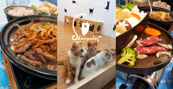 沐芳庭：【台南日式民宿】十鼓文創園區住宿 沐芳庭 可以包棟烤肉和婚紗攝影