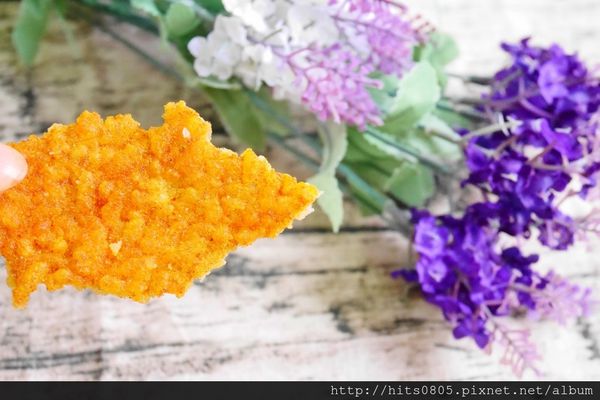 P1050775 (1024x683).jpg