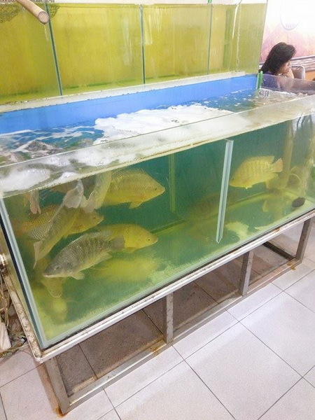 cm20170326___24738681d1dab71a76446934f51