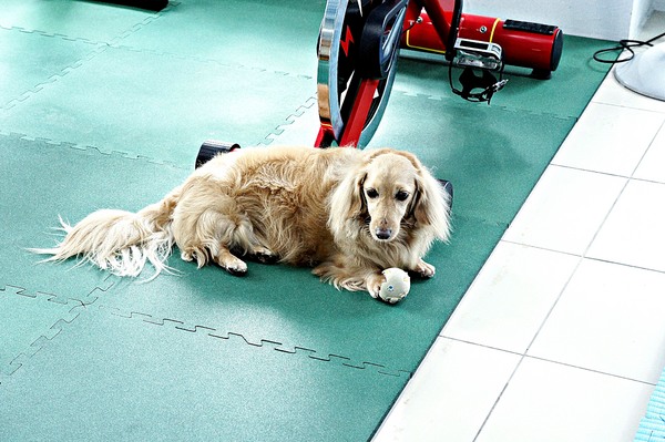 cm20170416___88adb5faa5ecd37a4d722d4946d