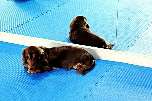 cm20170416___f542341ae241a716f3b5cda9097