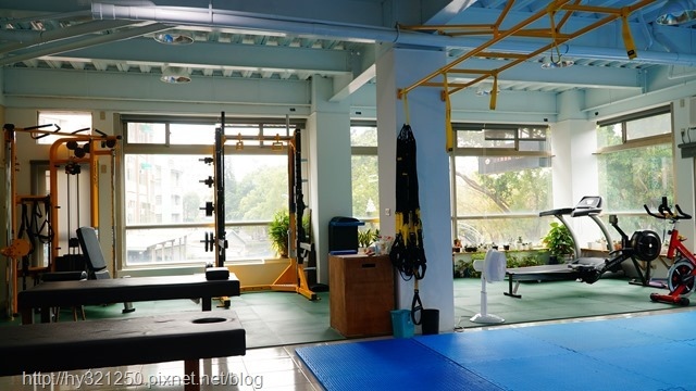 53354-1490113088-2788275271.jpg?v=1490113089