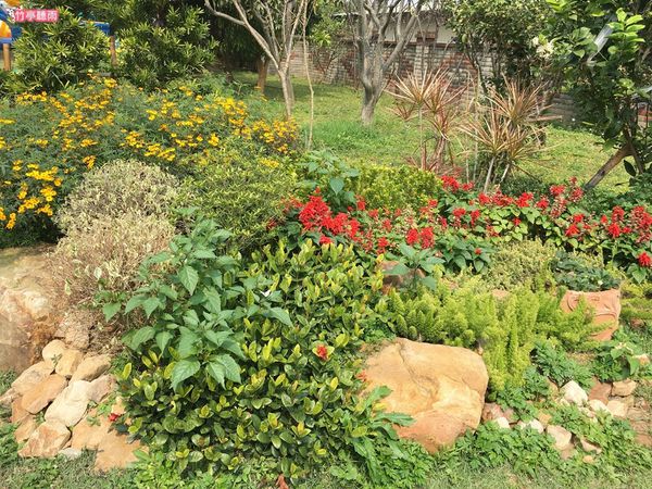 53361-1489677336-325086881_n.jpg?v=1489677399