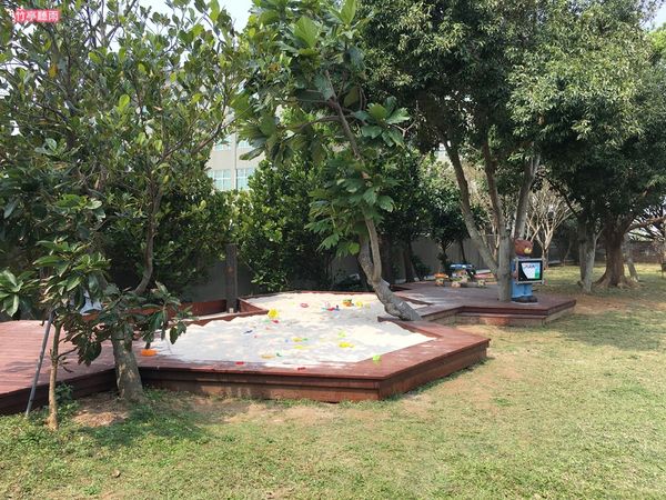 53361-1489677339-3122811849_n.jpg?v=1489677399