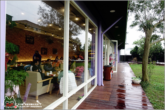 53373-1490636958-2023065224.jpg?v=1491420316