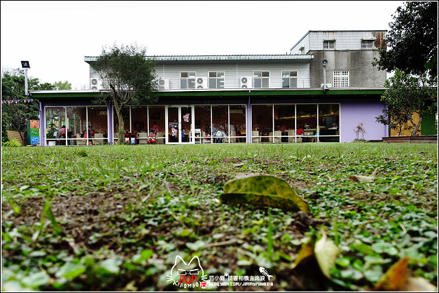 53373-1490637042-2986887671.jpg?v=1491420318