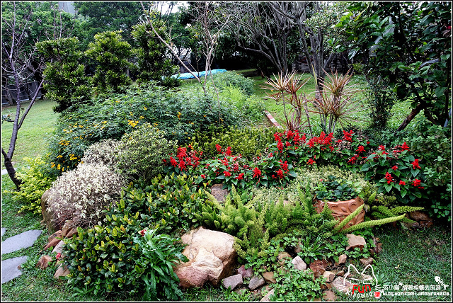 53373-1490636967-515962586.jpg?v=1491420316