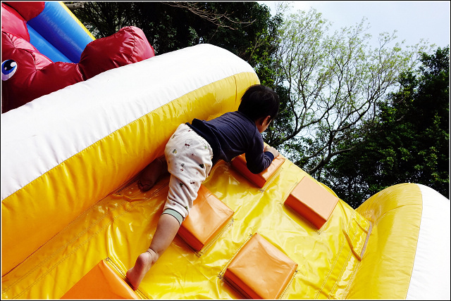 53373-1491675694-2367643910.jpg?v=1491675706