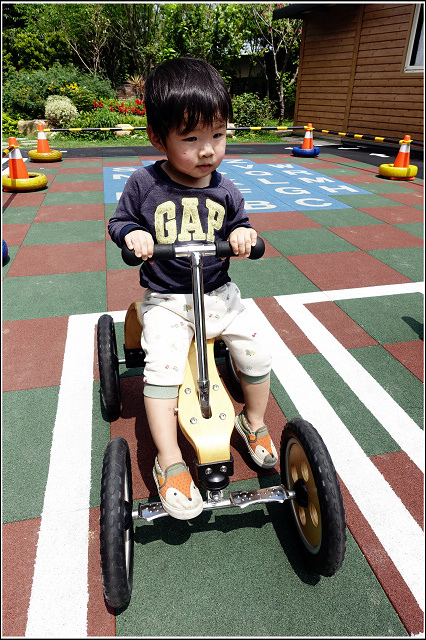 53373-1491675686-113119339.jpg?v=1491675706