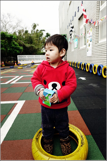 53373-1490636970-3121616671.jpg?v=1491420316