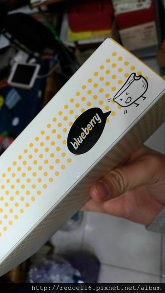 17919078_10211158288850486_426926533_n