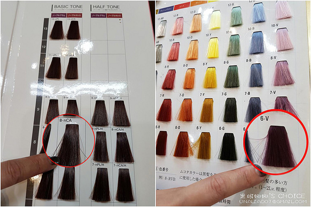 VShair染髮本色卡