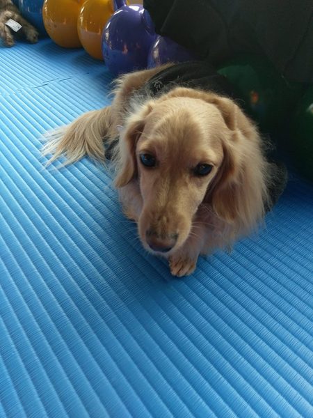 cm20170319___cbb5345887b22821c8e5436d9e3