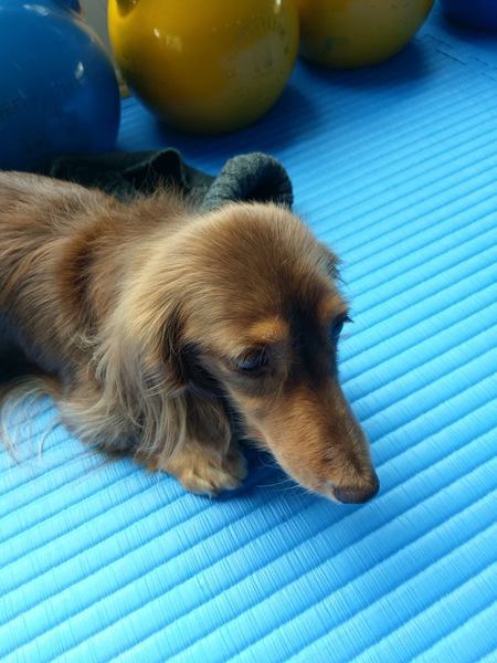 cm20170319___8f93715a8c16364213d0945aec7